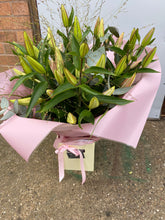Load image into Gallery viewer, XL Boxed Hand Tied Bouquets - Plenty of Lily